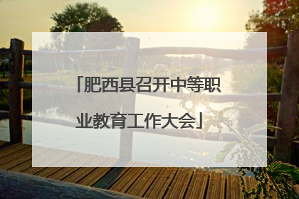 肥西县召开中等职业教育工作大会