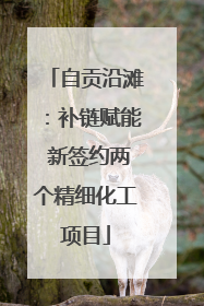 自贡沿滩：补链赋能 新签约两个精细化工项目