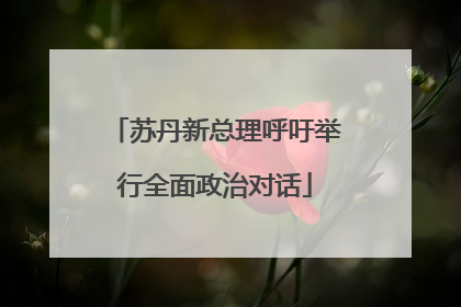 苏丹新总理呼吁举行全面政治对话