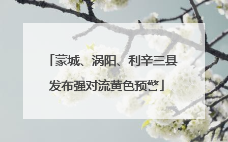 蒙城、涡阳、利辛三县发布强对流黄色预警