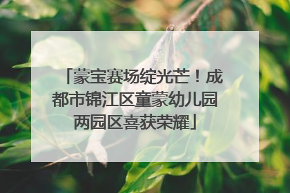 蒙宝赛场绽光芒！成都市锦江区童蒙幼儿园两园区喜获荣耀
