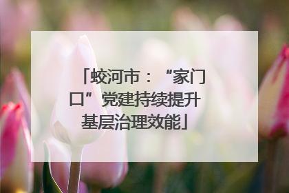 蛟河市：“家门口”党建持续提升基层治理效能