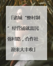 诸城“整村制”经营铺就富民强村路，合作社迎来大丰收