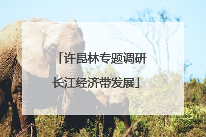 许昆林专题调研长江经济带发展