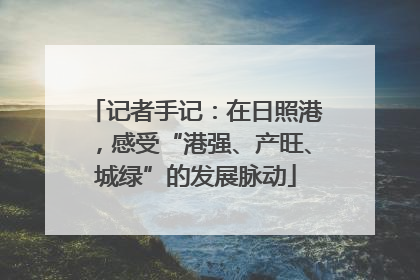 记者手记：在日照港，感受“港强、产旺、城绿”的发展脉动