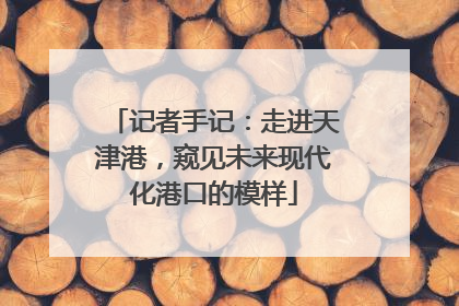 记者手记：走进天津港，窥见未来现代化港口的模样