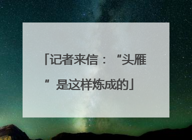 记者来信：“头雁”是这样炼成的