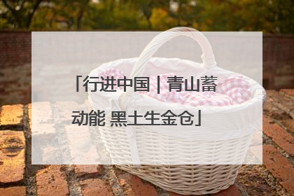 行进中国｜青山蓄动能 黑土生金仓