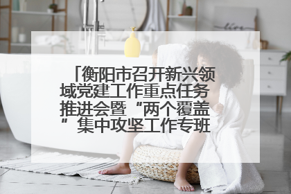 衡阳市召开新兴领域党建工作重点任务推进会暨“两个覆盖”集中攻坚工作专班 第一次会议