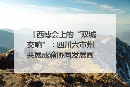 西博会上的“双城交响”：四川六市州共展成渝协同发展画卷｜西博视界