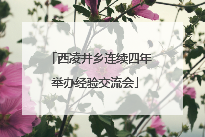 西凌井乡连续四年举办经验交流会