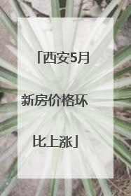西安5月新房价格环比上涨