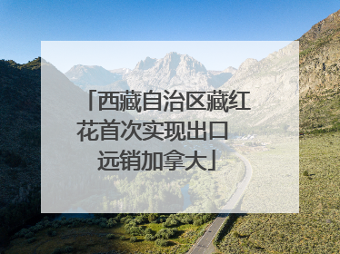 西藏自治区藏红花首次实现出口 远销加拿大