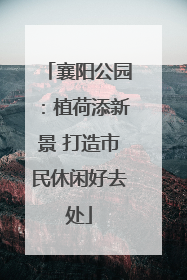 襄阳公园：植荷添新景 打造市民休闲好去处