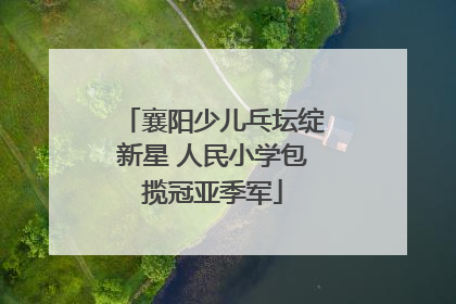襄阳少儿乓坛绽新星 人民小学包揽冠亚季军