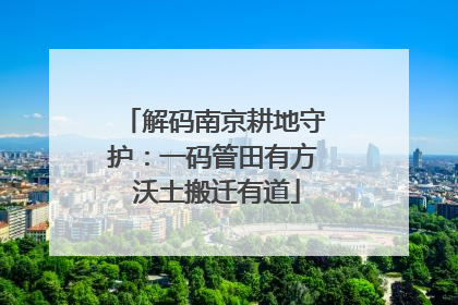 解码南京耕地守护：一码管田有方 沃土搬迁有道