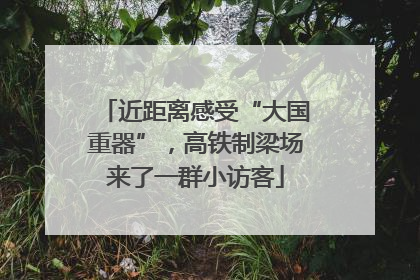 近距离感受“大国重器”，高铁制梁场来了一群小访客