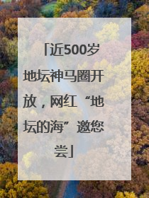 近500岁地坛神马圈开放，网红“地坛的海”邀您尝