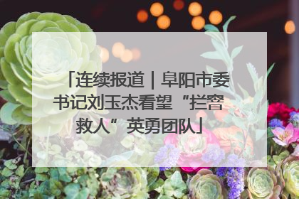 连续报道｜阜阳市委书记刘玉杰看望“拦窨救人”英勇团队