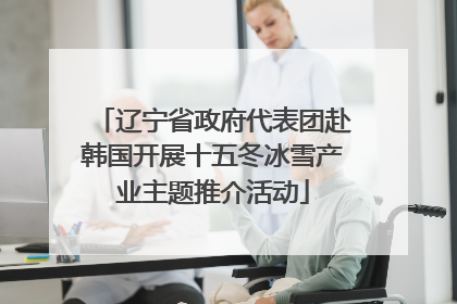 辽宁省政府代表团赴韩国开展十五冬冰雪产业主题推介活动