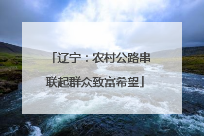 辽宁：农村公路串联起群众致富希望