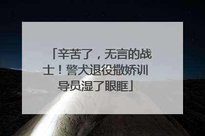 辛苦了，无言的战士！警犬退役撒娇训导员湿了眼眶