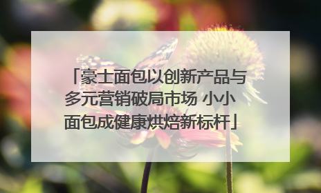 豪士面包以创新产品与多元营销破局市场 小小面包成健康烘焙新标杆