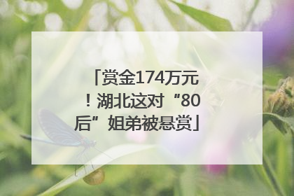 赏金174万元！湖北这对“80后”姐弟被悬赏