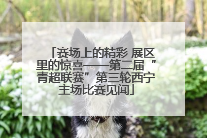 赛场上的精彩 展区里的惊喜——第二届“青超联赛”第三轮西宁主场比赛见闻