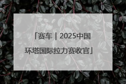 赛车｜2025中国环塔国际拉力赛收官