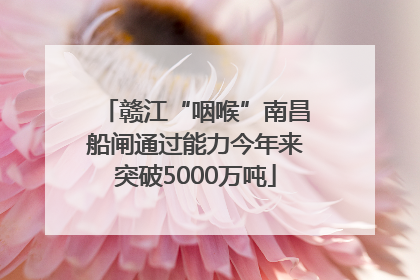 赣江“咽喉”南昌船闸通过能力今年来突破5000万吨