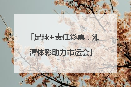 足球+责任彩票，湘潭体彩助力市运会