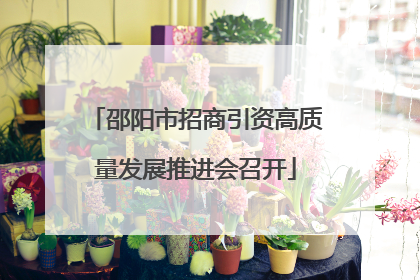 邵阳市招商引资高质量发展推进会召开
