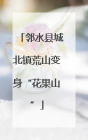 邻水县城北镇荒山变身“花果山”