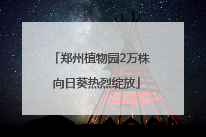 郑州植物园2万株向日葵热烈绽放