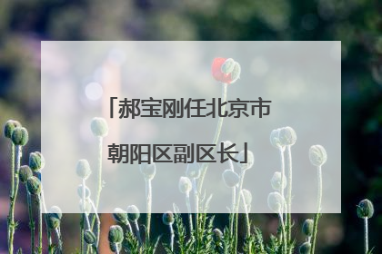 郝宝刚任北京市朝阳区副区长