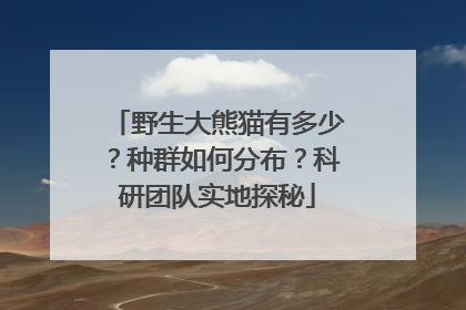 野生大熊猫有多少？种群如何分布？科研团队实地探秘
