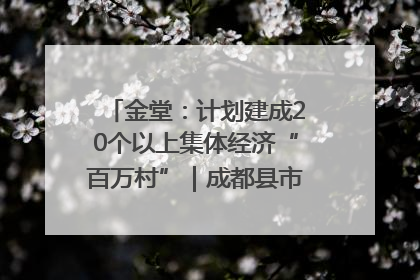 金堂：计划建成20个以上集体经济“百万村”｜成都县市新城高质量发展