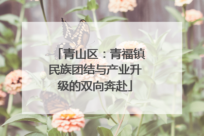 青山区：青福镇民族团结与产业升级的双向奔赴