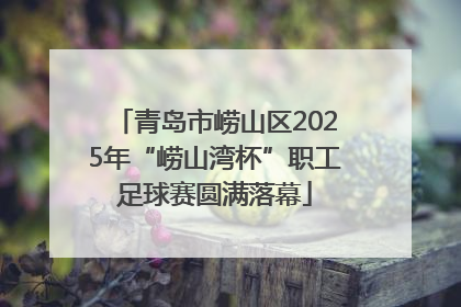 青岛市崂山区2025年“崂山湾杯”职工足球赛圆满落幕