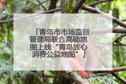 青岛市市场监督管理局联合高德地图上线“青岛放心消费公益地图”