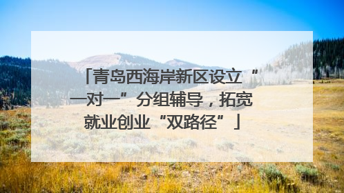 青岛西海岸新区设立“一对一”分组辅导，拓宽就业创业“双路径”