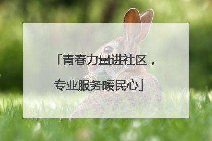 青春力量进社区，专业服务暖民心