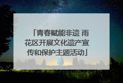 青春赋能非遗 雨花区开展文化遗产宣传和保护主题活动
