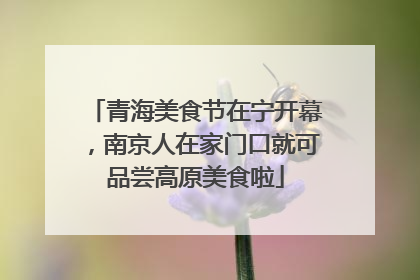 青海美食节在宁开幕，南京人在家门口就可品尝高原美食啦