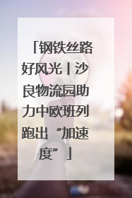钢铁丝路好风光丨沙良物流园助力中欧班列跑出“加速度”