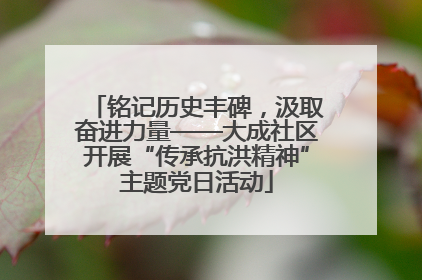 铭记历史丰碑，汲取奋进力量——大成社区开展“传承抗洪精神”主题党日活动