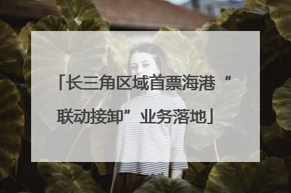 长三角区域首票海港“联动接卸”业务落地