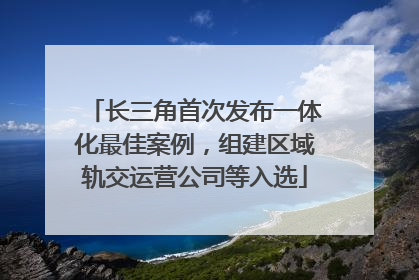 长三角首次发布一体化最佳案例，组建区域轨交运营公司等入选