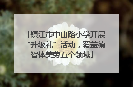 镇江市中山路小学开展“升级礼”活动，覆盖德智体美劳五个领域